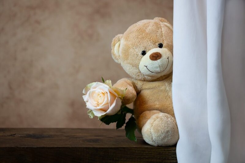 Rose-Teddy-Bear-love-cute-romantic-flower