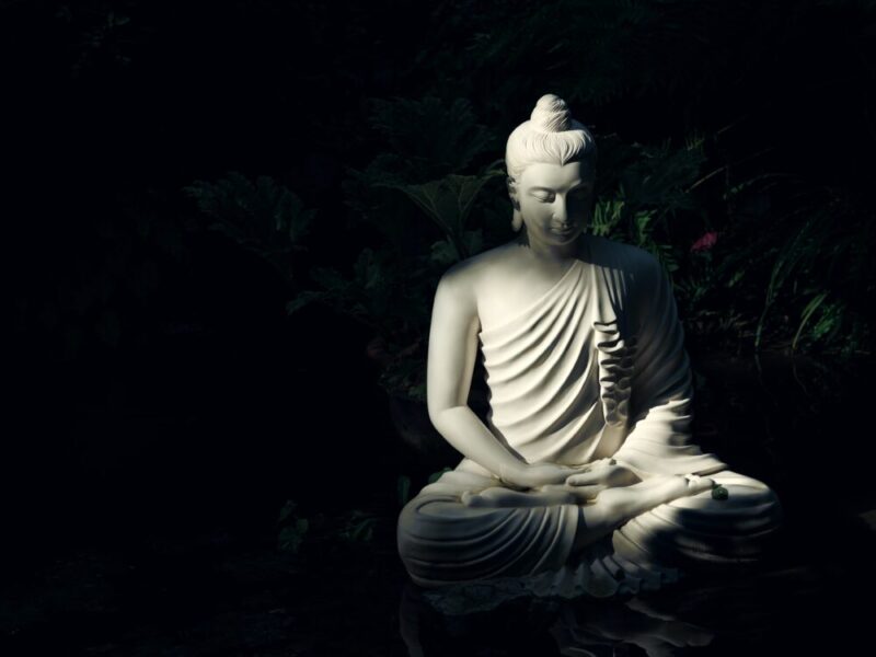 white buddha statue on body of water photo