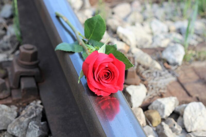 red rose railway stop suicide